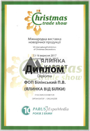 Диплом 2017