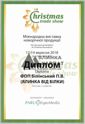 Диплом 2018
